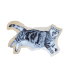 肥った猫です（個別スタンプ：4）