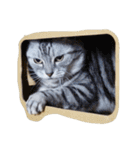 肥った猫です（個別スタンプ：5）