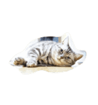 肥った猫です（個別スタンプ：11）