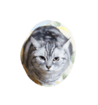 肥った猫です（個別スタンプ：13）