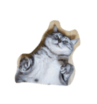肥った猫です（個別スタンプ：17）