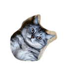 肥った猫です（個別スタンプ：19）
