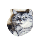 肥った猫です（個別スタンプ：21）