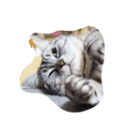 肥った猫です（個別スタンプ：23）