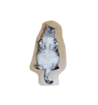 肥った猫です（個別スタンプ：26）