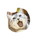 肥った猫です（個別スタンプ：29）