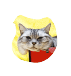 肥った猫です（個別スタンプ：36）
