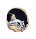 肥った猫です（個別スタンプ：37）