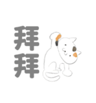 my image of cat(traditional Chinese ver)（個別スタンプ：4）