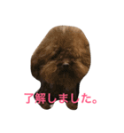 ペットShop Yamada（個別スタンプ：7）