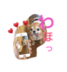 顔で返事（個別スタンプ：12）