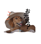 愛犬ロコ③（個別スタンプ：7）