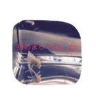 あやちゃん あきかげくん（個別スタンプ：3）