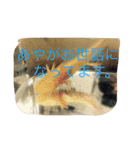 あやちゃん あきかげくん（個別スタンプ：4）