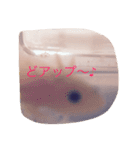あやちゃん あきかげくん（個別スタンプ：5）