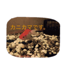 あやちゃん あきかげくん（個別スタンプ：9）