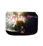 あやちゃん あきかげくん（個別スタンプ：10）