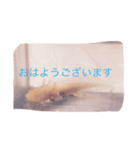 あやちゃん あきかげくん（個別スタンプ：15）