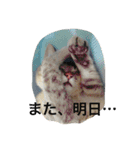 ぽん太❤️ぶる太（個別スタンプ：2）