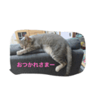 ぽん太❤️ぶる太（個別スタンプ：7）