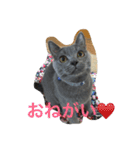 ぽん太❤️ぶる太（個別スタンプ：9）