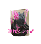 ぽん太❤️ぶる太（個別スタンプ：10）