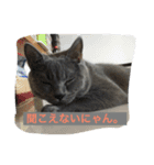 ぽん太❤️ぶる太（個別スタンプ：14）