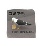 鳥さんたちの日常スタンプ（個別スタンプ：4）