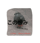 鳥さんたちの日常スタンプ（個別スタンプ：6）