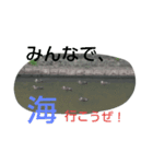 鳥さんたちの日常スタンプ（個別スタンプ：9）