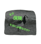 鳥さんたちの日常スタンプ（個別スタンプ：11）