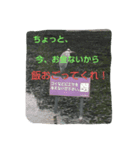 鳥さんたちの日常スタンプ（個別スタンプ：16）