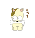 チロ犬（個別スタンプ：17）