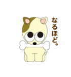 チロ犬（個別スタンプ：19）
