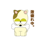 チロ犬（個別スタンプ：28）