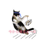 ぎんぎんぎーんちゃーん（個別スタンプ：2）