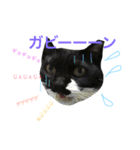 ぎんぎんぎーんちゃーん（個別スタンプ：8）