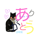 ぎんぎんぎーんちゃーん（個別スタンプ：15）