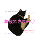 ぎんぎんぎーんちゃーん（個別スタンプ：18）