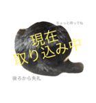 ぎんぎんぎーんちゃーん（個別スタンプ：19）