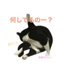 ぎんぎんぎーんちゃーん（個別スタンプ：20）