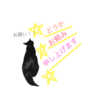 ぎんぎんぎーんちゃーん（個別スタンプ：21）