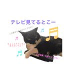 ぎんぎんぎーんちゃーん（個別スタンプ：22）