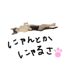 もふもふちゃんず（個別スタンプ：2）