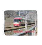 鉄道スタンプ！関東編（個別スタンプ：5）