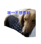 The Bao's fashion dairy.（個別スタンプ：2）