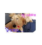 The Bao's fashion dairy.（個別スタンプ：14）