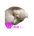 The Bao's fashion dairy.（個別スタンプ：16）