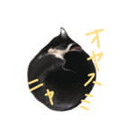 Tom ＆Deco（個別スタンプ：3）