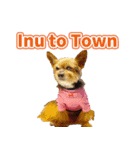 Inu to Town（個別スタンプ：2）